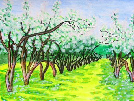 Spring landscape...