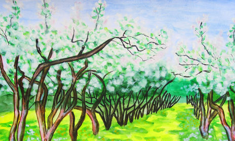 Spring