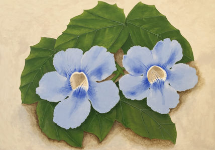 Thunbergia