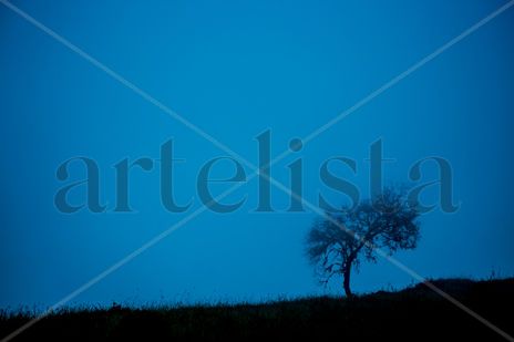 En silencio
