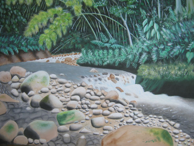 el rio Acrylic Canvas Landscaping