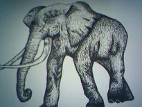 Elefante africano