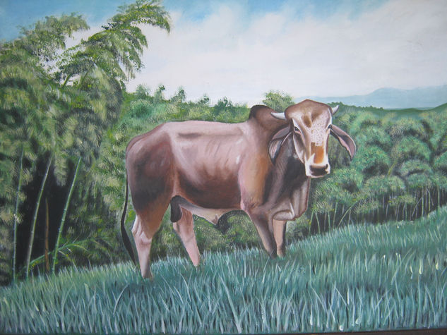 el toro Acrylic Canvas Animals