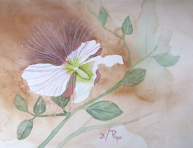 flor de alcaparra Acuarela Papel Floral