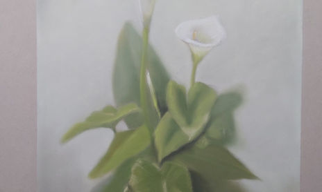 PLANTAS Y FLORES