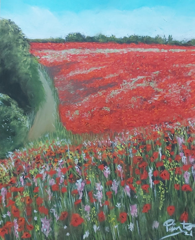 "CAMPO DE AMAPOLAS" |   Pintura Original paisaje al pastel. Regalos OriginalesA, naturaleza, flores y arboles-28 x 23 cms