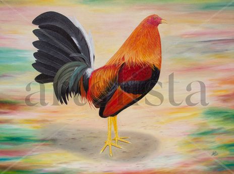 Eres mi gallo
