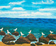 Seagulls on stones