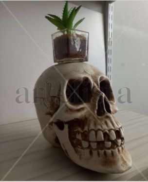 La vida despues de la muerte