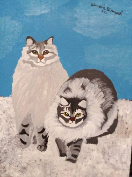 Gatos Siberianos