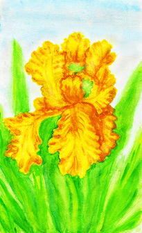 Yellow iris watercolor