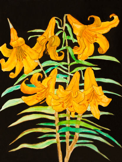 Yellow lilies on black background Watercolour Paper Floral Painting