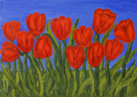 Red tulips on blue sky