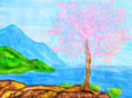 Cercis tree 2