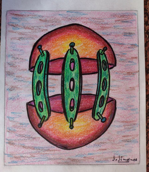 PEPEARTE-1542 Mixed Media
