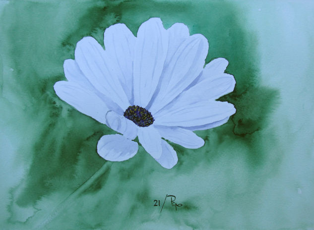 margarita del cabo Watercolour Paper Floral Painting