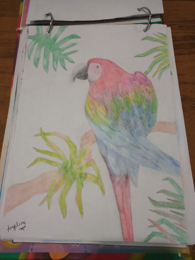 El loro pipito