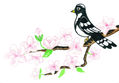 Bird on branch with pink flowers