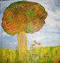 Serie Bosque 2º