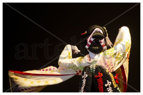 Pincelas de kabuki