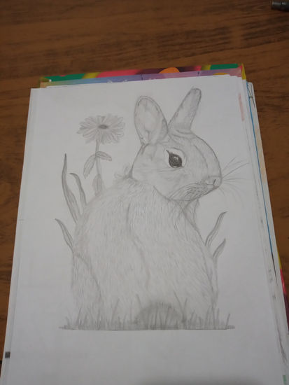 Conejo de campo Pencil