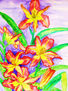 Pink-yellow lilies