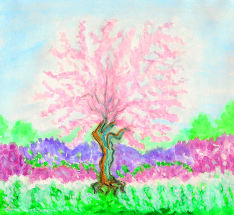 Cercis tree 1