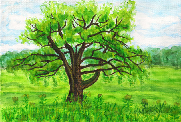 Willlow tree Acuarela Papel Paisaje