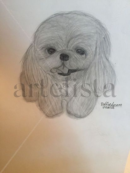 Perrito Pencil