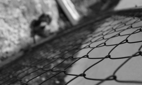 Trapped
