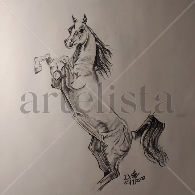Caballo