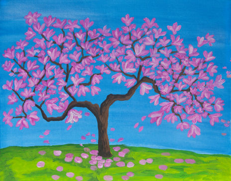Magnolia tree in...