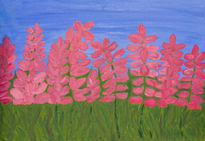 Pink lupins