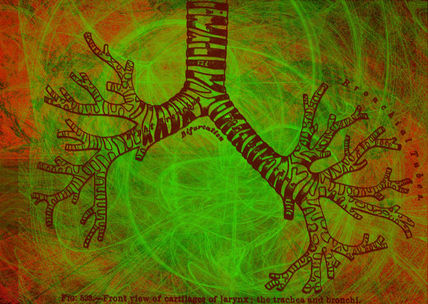Contaminación pulmonar