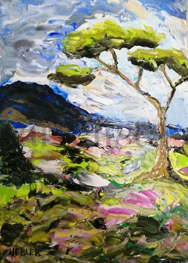 Paisaje colorido