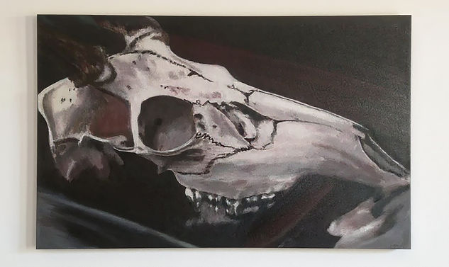 Cráneo de búfalo Óleo Lienzo Animales