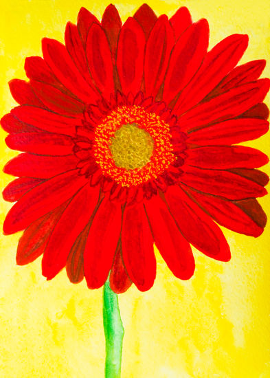 Orange gerbera on yellow Acuarela Papel Floral