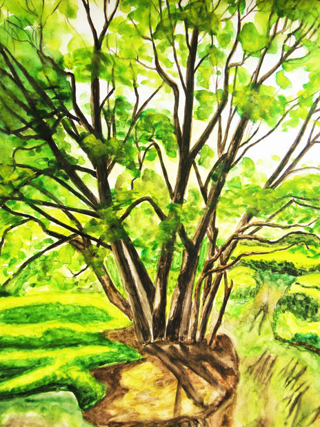 Willow trees vertical