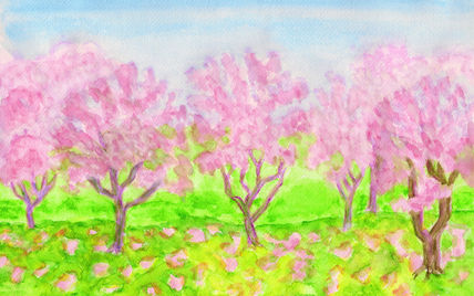 Pink garden 4