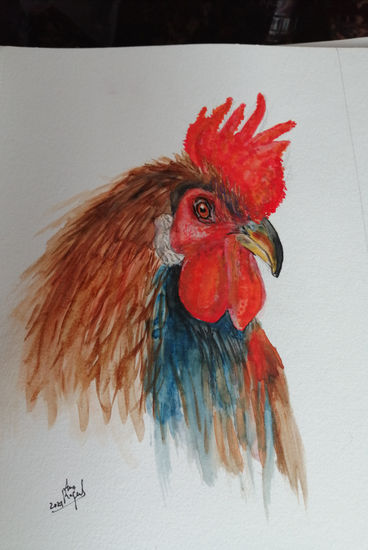 O Galo Watercolour Paper Animals