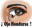 NO A LAS ZEDES, ARTE DE HONDURAS