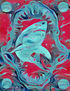 White Shark 002