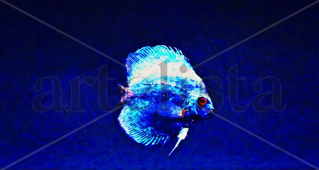 Artistic collection of the freedom of a fish 1