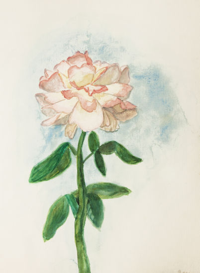 Pink rose Watercolour Paper Floral Painting