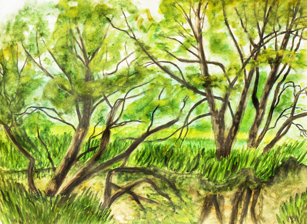 Willows near lake Watercolour Paper Landscaping