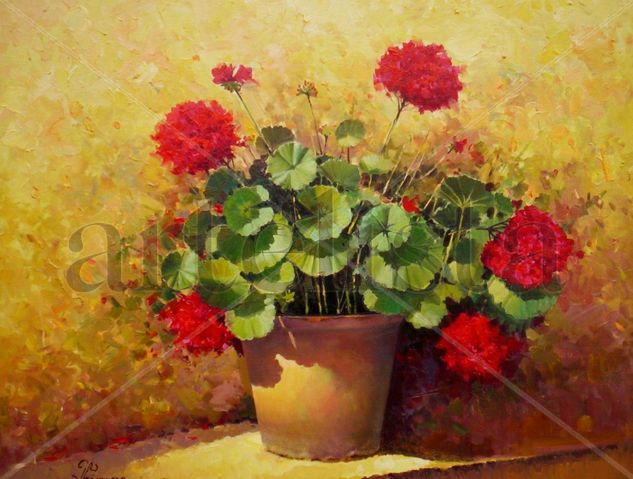 Geranios Oil Canvas Floral Painting