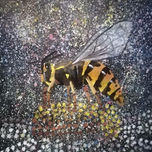 microcosmos thumbnail 1