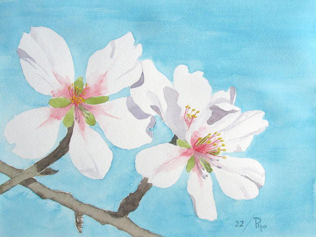 flores de almendro 9 Watercolour Paper Floral Painting