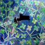 pianista magico