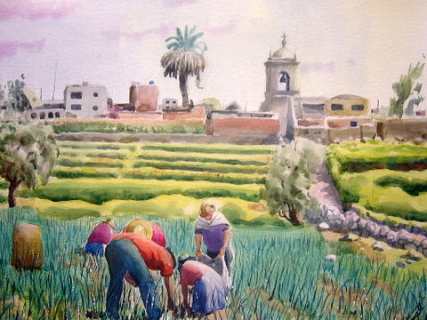 Deshierbe del ajo Watercolour Card Landscaping